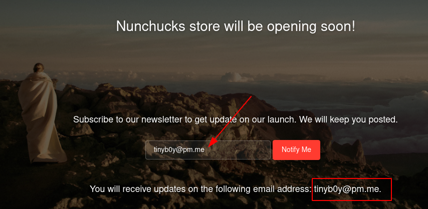 [Newsletter Subscription]